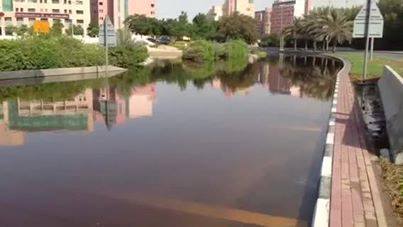 Nakheel is to blame for flooding in Discovery Gardens