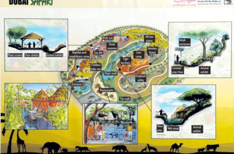 Dubai Safari to become new home for Dubai Zoo residents